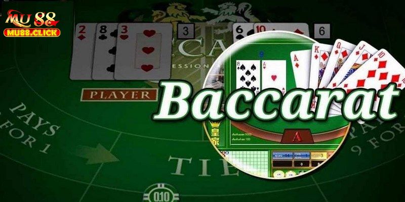 Nghiên cứu để chọn cửa cược hợp lý nhất trong game Baccarat 